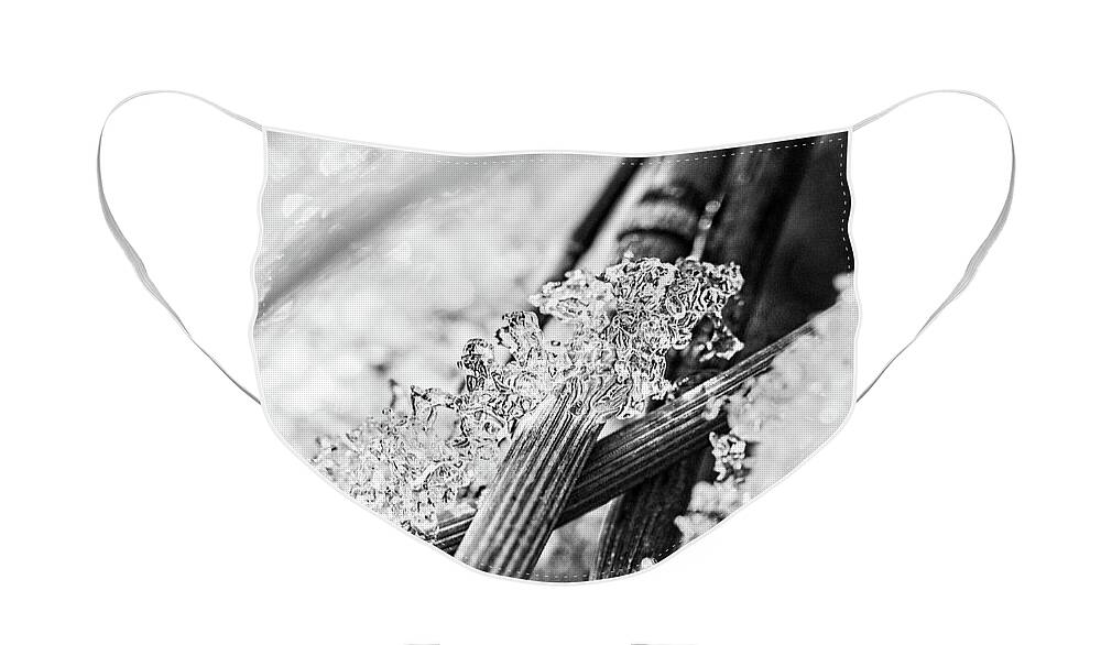 Grasses Face Mask featuring the photograph Bejeweled by Marilyn Cornwell