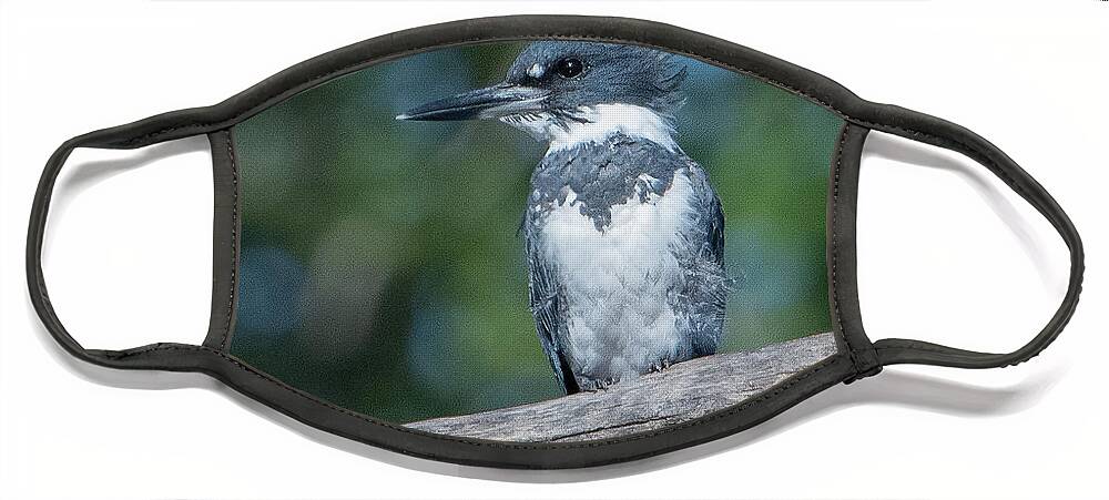 Nature Face Mask featuring the photograph Belted Kingfisher DSB0380 by Gerry Gantt