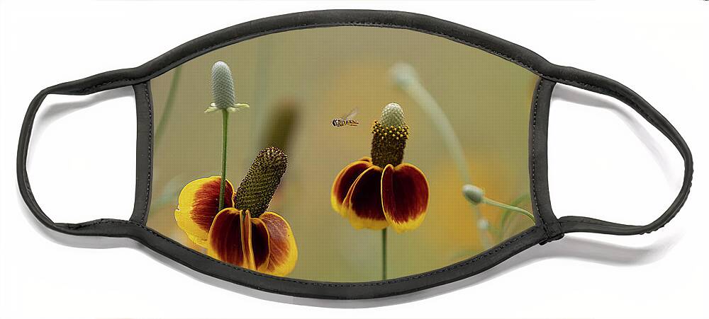 Insect Face Mask featuring the photograph Between Flowers by Deon Grandon