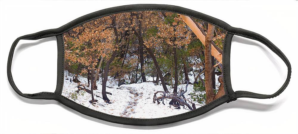 Big Bend Face Mask featuring the photograph Big Bend Snow by Metaphor Photo
