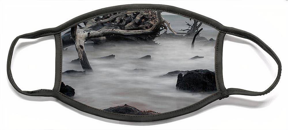Driftwood Face Mask featuring the photograph Big Talbot Island by Carolyn Hutchins