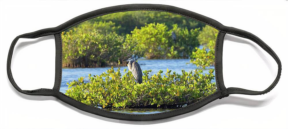 R5-2627 Face Mask featuring the photograph Bird Island by Gordon Elwell