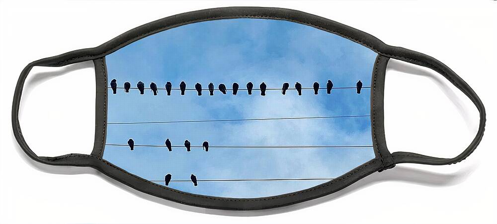  Face Mask featuring the photograph Birds On Wire by Julie Gebhardt
