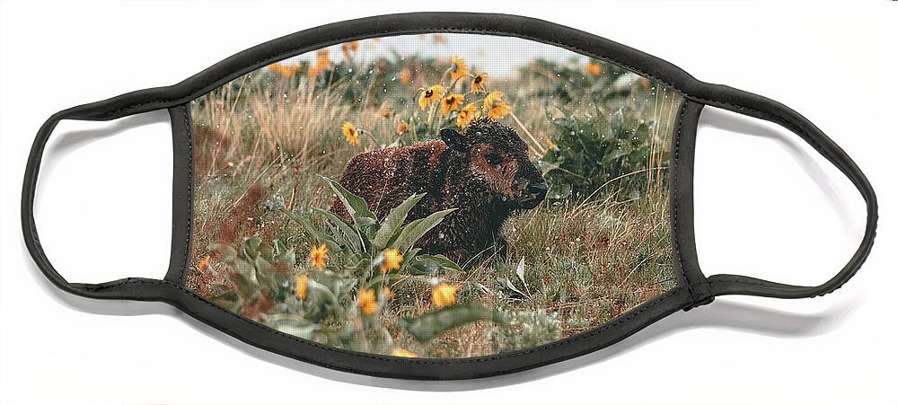  Face Mask featuring the photograph Bison Calf by William Boggs