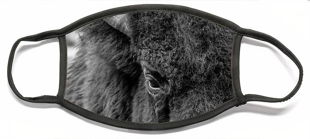 Bison Face Mask featuring the photograph Bison by Holly Ross