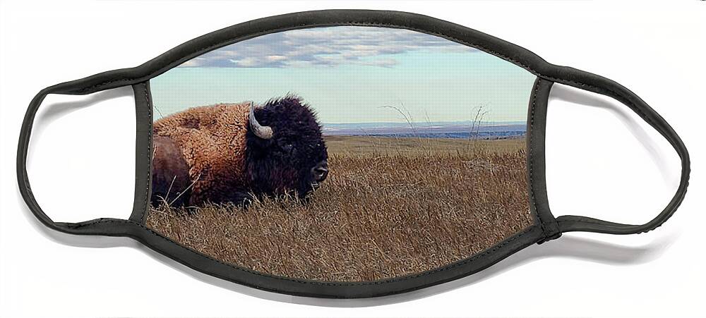 Badlands Face Mask featuring the photograph Bison on the Prairie by Double AA Photography