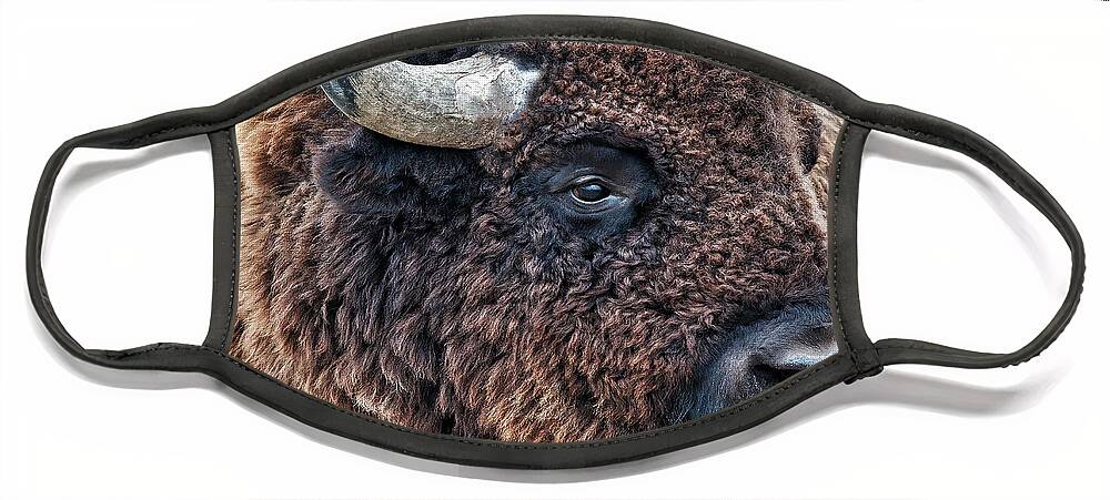 Lenaowens Face Mask featuring the photograph Bison the Mighty Beast by OLena Art