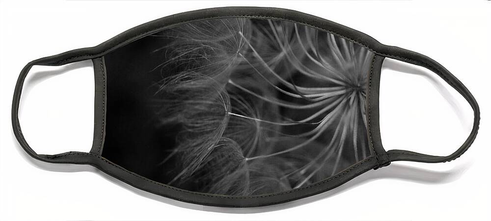 Nature Face Mask featuring the photograph Black and White Dandelion 1 by Amy Fose