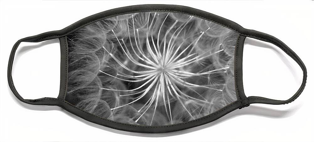 Nature Face Mask featuring the photograph Black and White Dandelion 2 by Amy Fose
