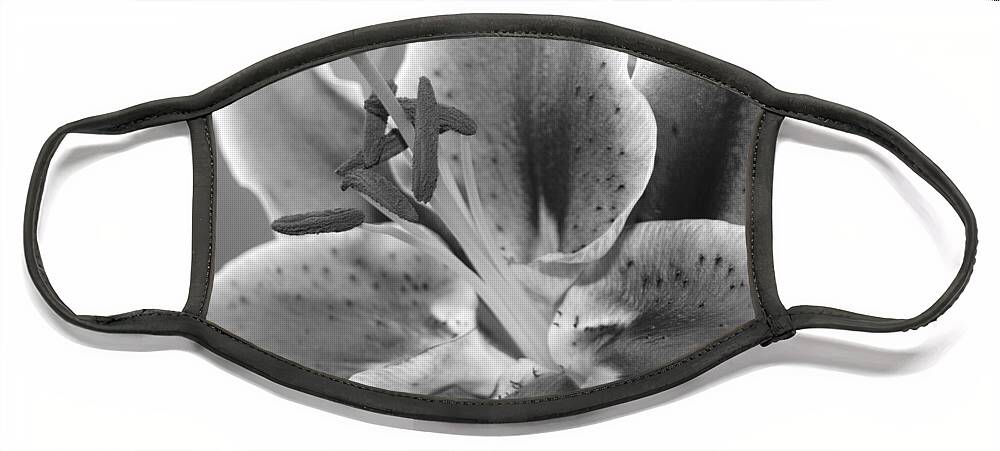 Lily Face Mask featuring the photograph Black and White Lily 2 by Amy Fose