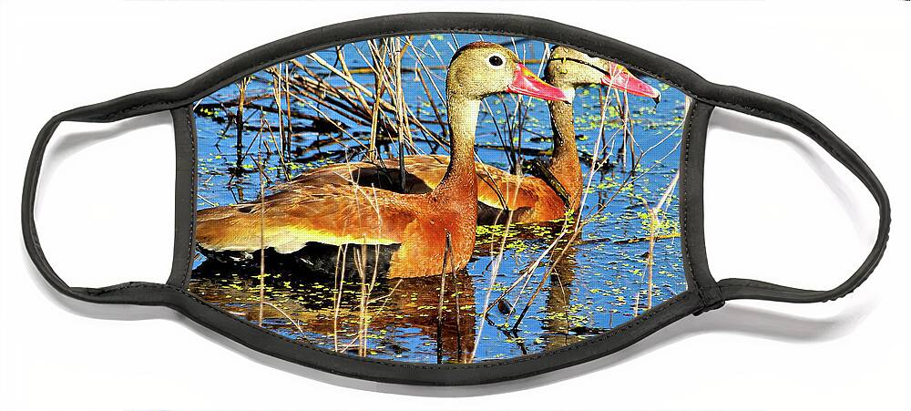  Face Mask featuring the photograph Black Bellied Whistling Ducks at Myakka by Joanne Carey