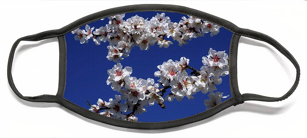 Almond Face Mask featuring the photograph Blossom by Gary Browne