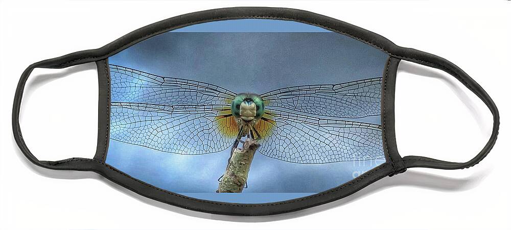 Nature Face Mask featuring the photograph Blue dasher on a stick by Barry Bohn