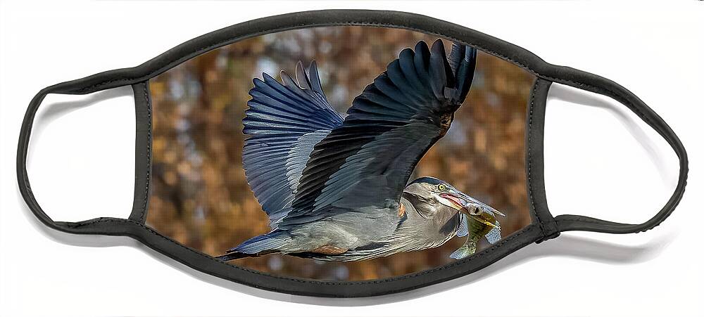 Blue Heron Face Mask featuring the photograph Blue Heron with Crappie by David Wagenblatt