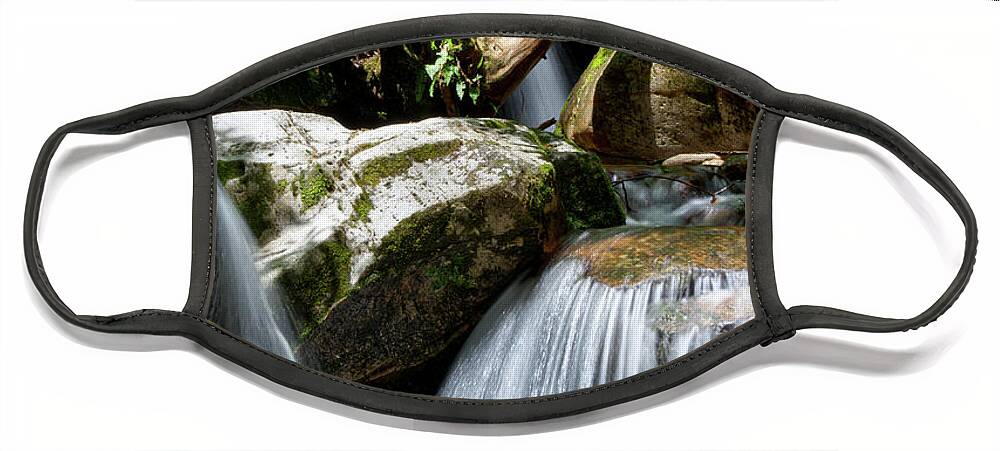 Nature Face Mask featuring the photograph Blue Hole Falls 11 by Phil Perkins