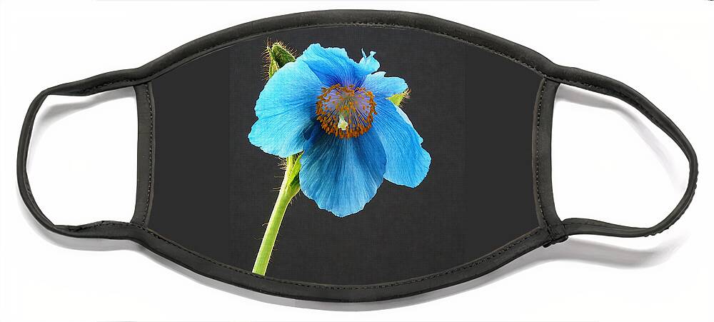 Richard Reeve Face Mask featuring the photograph Blue Poppy by Richard Reeve