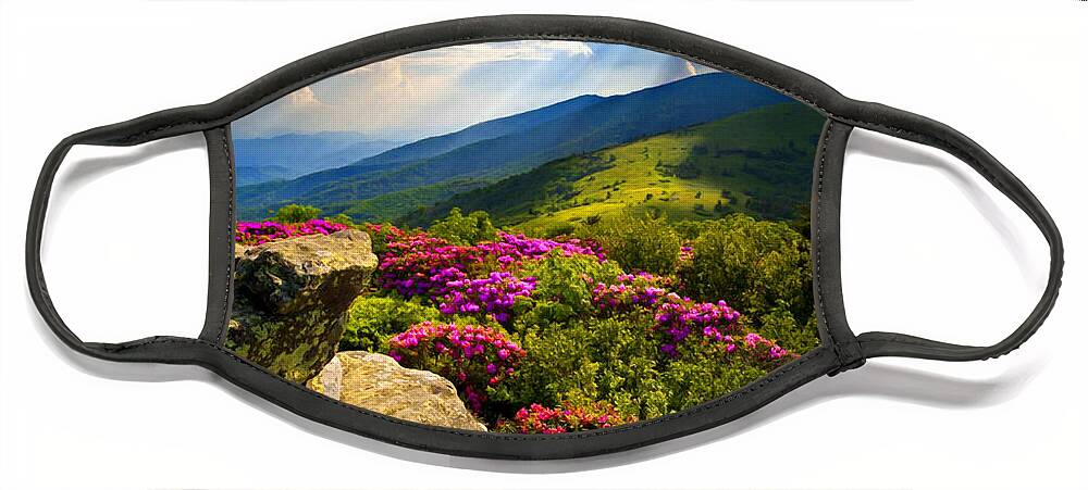 Blue Ridge Parkway Face Mask featuring the mixed media Blue Ridge Parkway Catawba Rhododendrons by Sandi OReilly