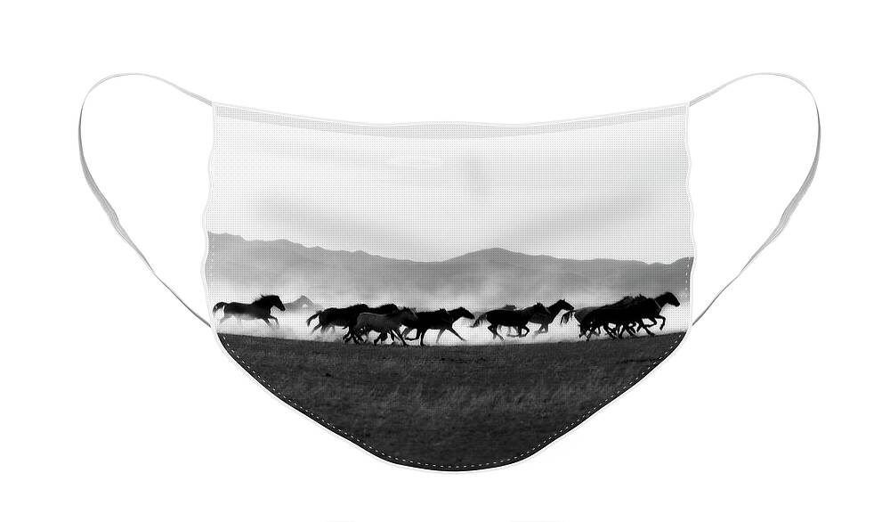 Wild Horse Face Mask featuring the photograph BnW Running Stallions in Dust by Dirk Johnson