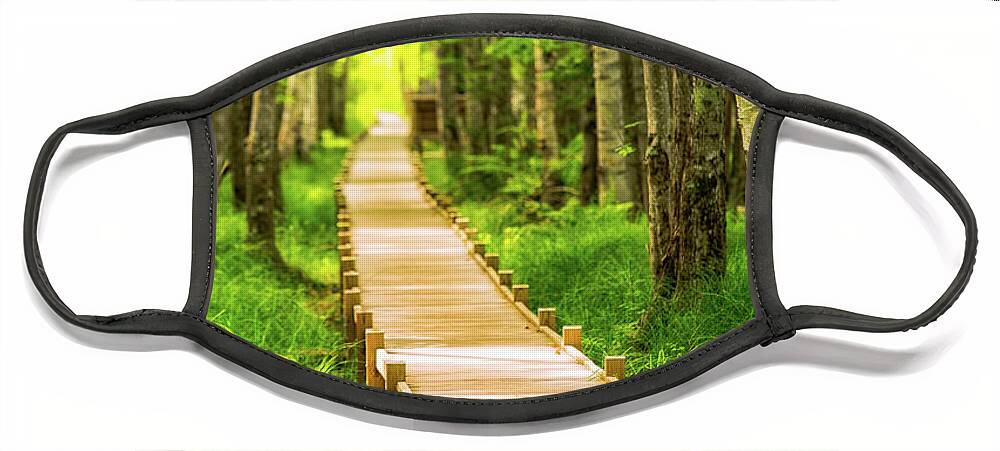 Acadia Face Mask featuring the photograph Boardwalk in the Forest by Jeff Sinon