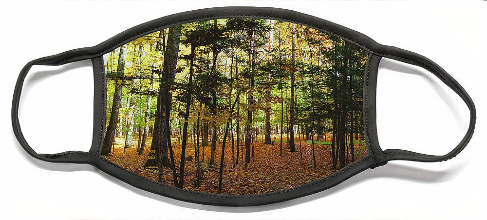Nature Face Mask featuring the photograph Botsford Nature Preserve 36 by William Norton