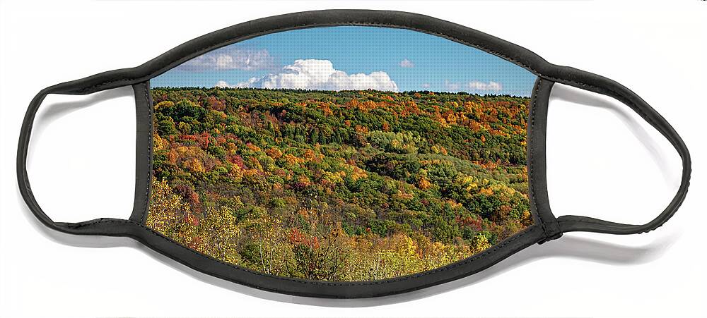 Nature Face Mask featuring the photograph Botsford Nature Preserve 44 by William Norton