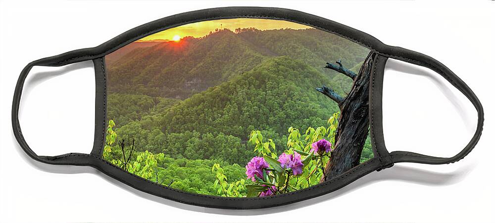 Sunset Face Mask featuring the photograph Breaks Interstate Park KY VA Sunset Scenic Rhododendron by Robert Stephens