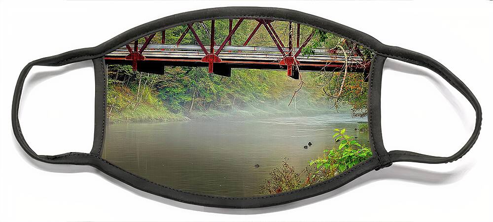 Stream Face Mask featuring the photograph Bridge over a trout stream by Cordia Murphy