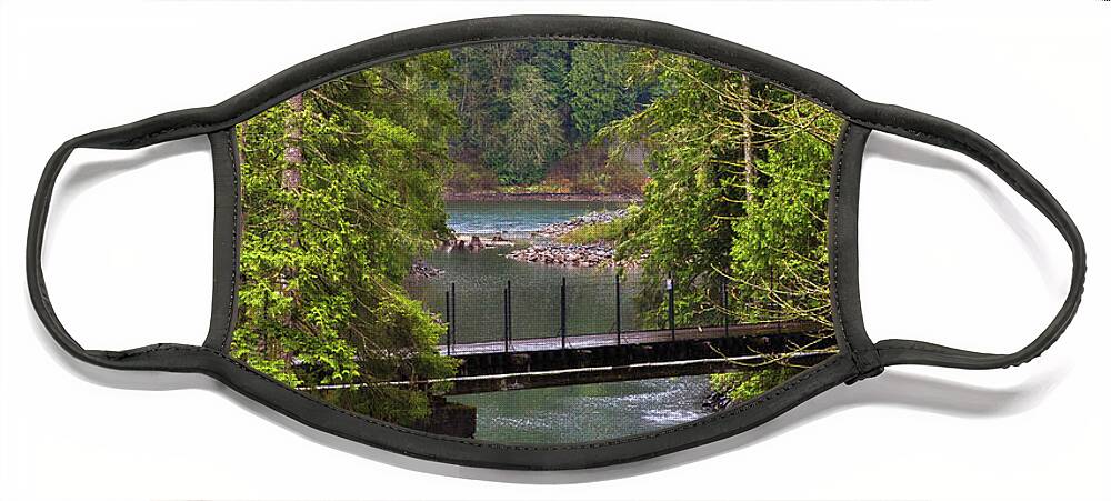 Alex Lyubar Face Mask featuring the photograph Bridge over the forest stream by Alex Lyubar