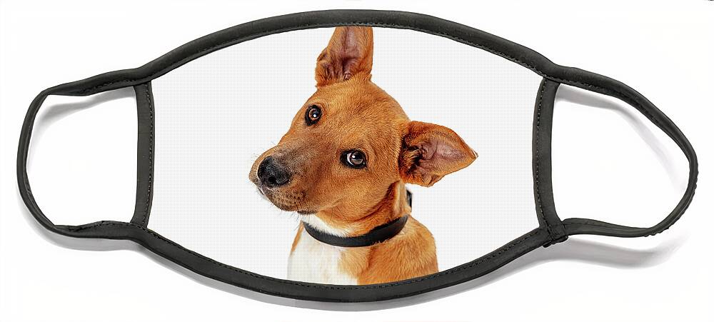Dog Face Mask featuring the photograph Brown Dog Tilting Head Listening Isolated by Good Focused