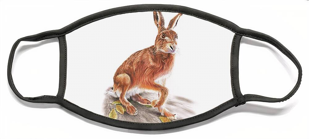Hare Face Mask featuring the drawing Brown Hare by Peter Williams