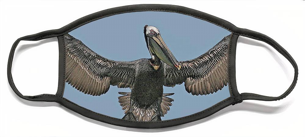 Brown Pelican Face Mask featuring the digital art BROWN PELICAN cps by Larry Linton