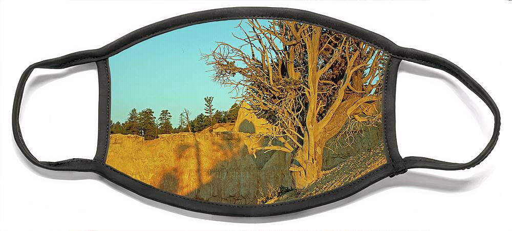 Bryce Face Mask featuring the photograph Bryce Canyon Sunset Shadows by Bruce Gourley