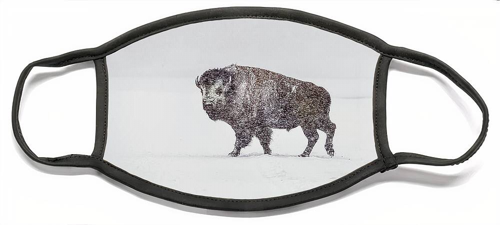 Buffalo Face Mask featuring the photograph Buffalo in Yellowstone Winter by Craig J Satterlee