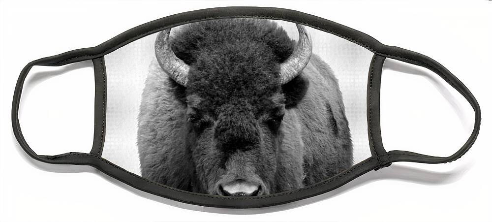 Buffalo Face Mask featuring the photograph Buffalo Photo 135 black and white by Lucie Dumas
