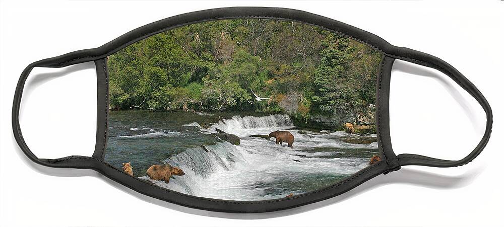 Bear Face Mask featuring the photograph Busy day at the Falls by Ed Stokes