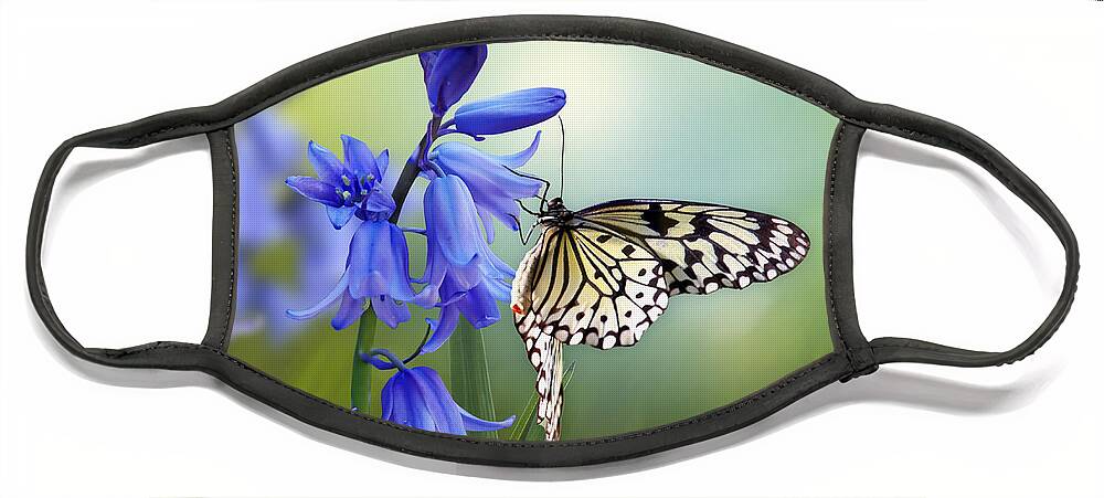Bluebells Face Mask featuring the mixed media Butterfly and Bluebell Dreams by Morag Bates