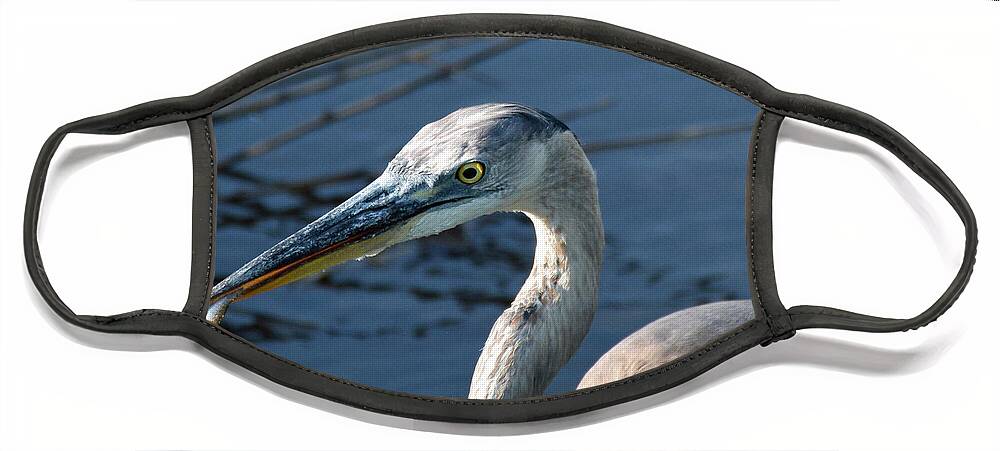 Birds Face Mask featuring the photograph By the Tail by Bruce Gourley