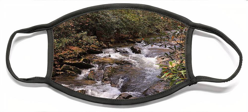 Water Face Mask featuring the photograph By the water's edge by Karen Ruhl