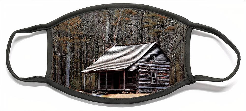 Cabin Face Mask featuring the photograph Cabin Getaway by Rick Nelson