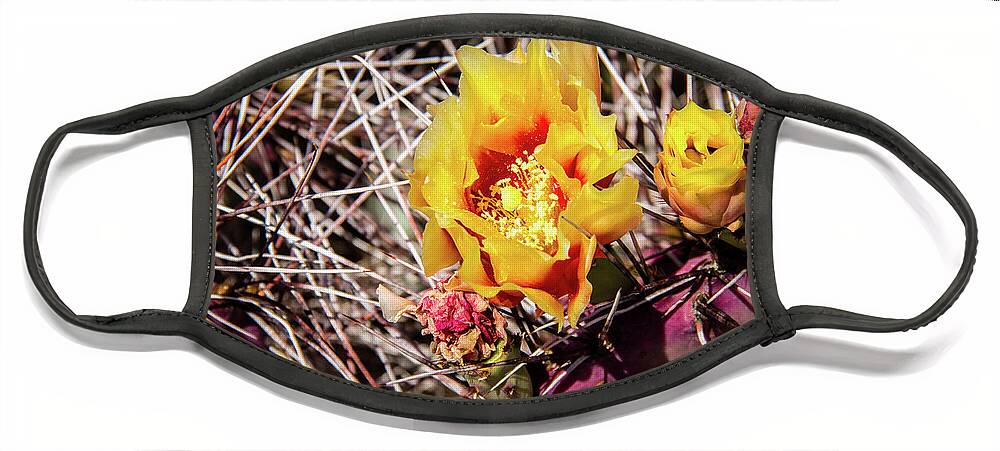 Canyon Face Mask featuring the photograph Cactus Bloom 3 by Craig A Walker