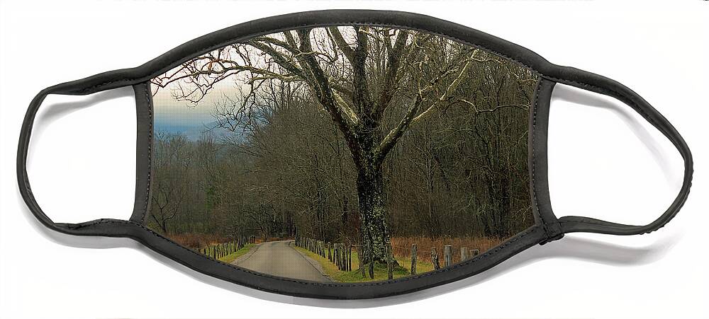 Landscape Face Mask featuring the photograph Cade's Cove by Jamie Tyler