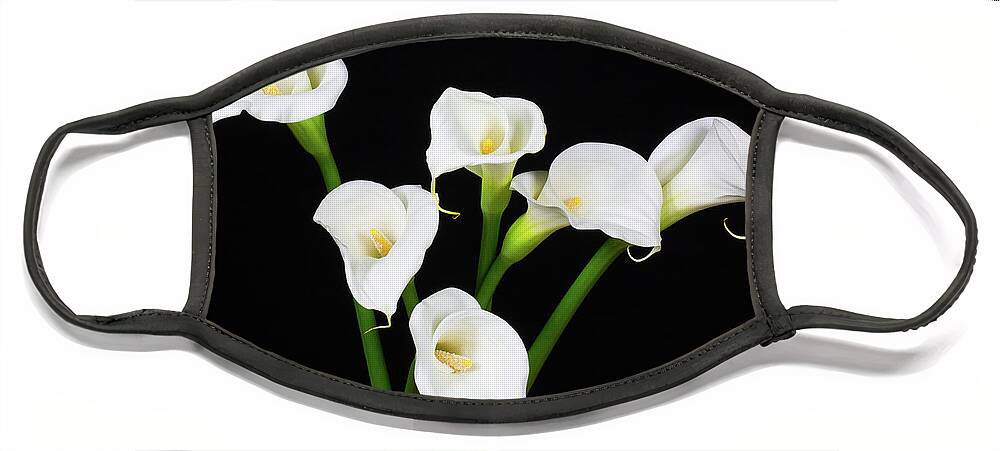 Calla Lillies Face Mask featuring the photograph Calla Lillies x 6 by Steve Templeton
