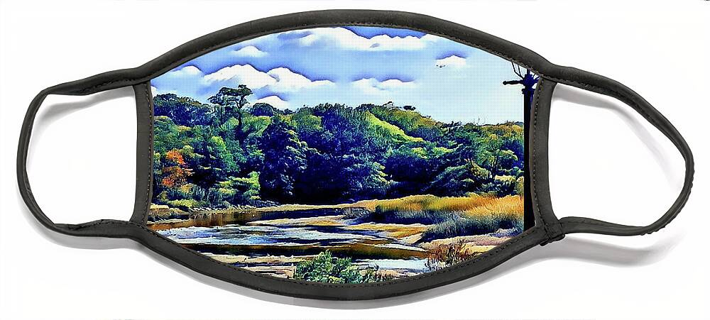 Stonybrook Face Mask featuring the digital art Calm Serenity by Eileen Kelly
