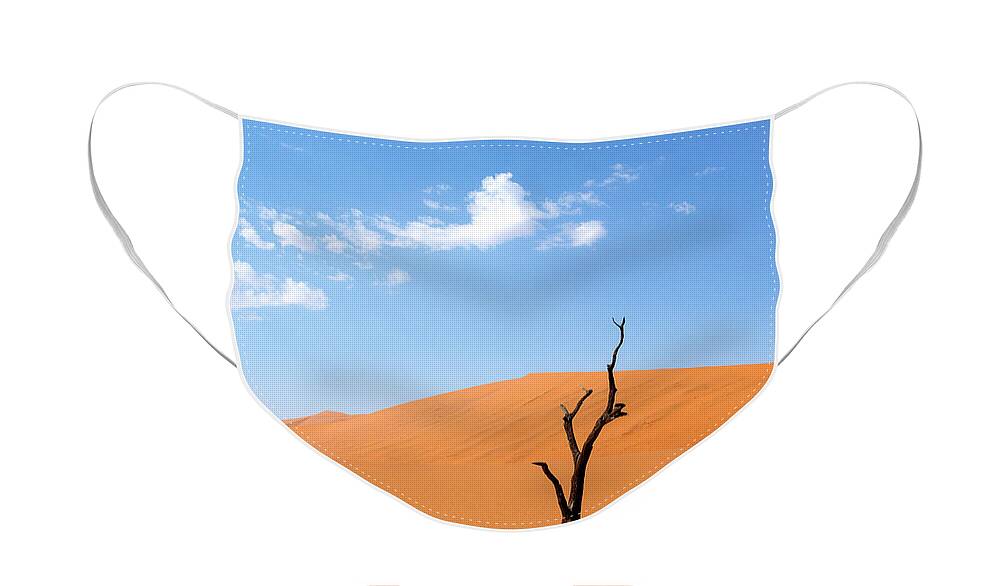 Landscape Face Mask featuring the photograph Camelthorn tree in Sossusvlei, Namibia by Julia Hiebaum