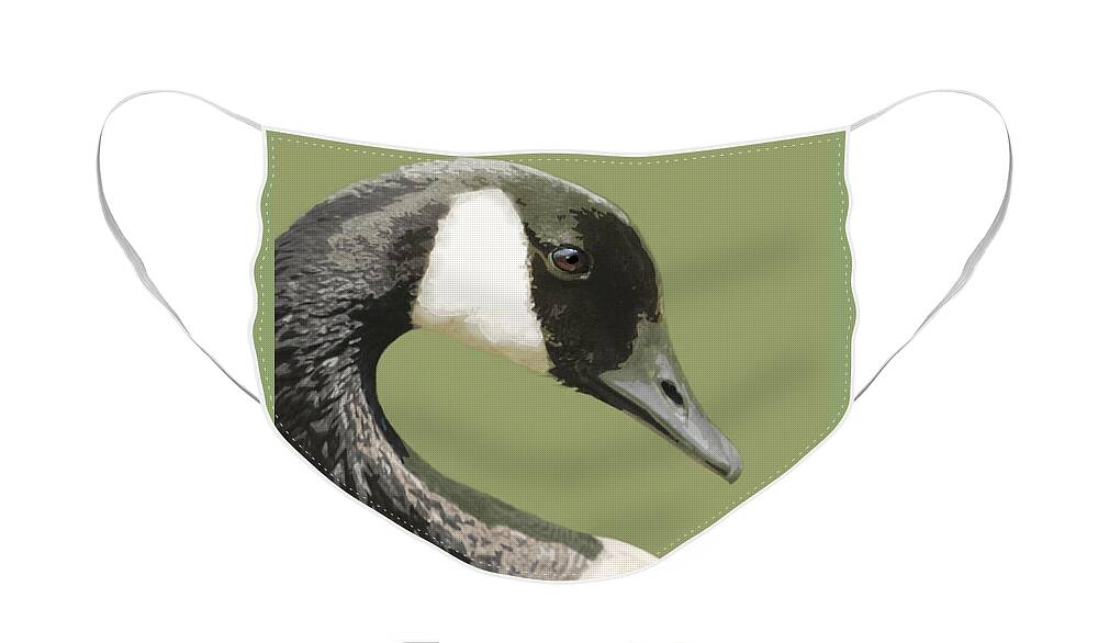 Nature Face Mask featuring the mixed media Canada Goose by Judy Cuddehe