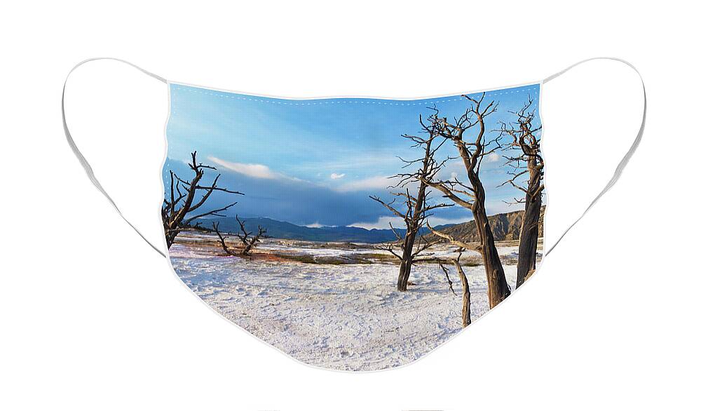 Canary Spring Face Mask featuring the photograph Canary spring, Mammoth Hot Springs, Yellowstone National Park, Wyoming, USAs by Neale And Judith Clark