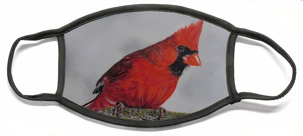 Bird Face Mask featuring the drawing Cardinal by Kelly Speros