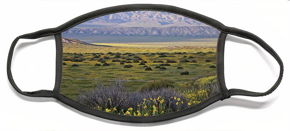  Face Mask featuring the photograph Carrizo Plain National Monument #1 by Carla Brennan