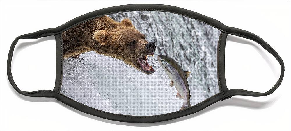 Grizzly Face Mask featuring the photograph Catch of the Day by Randy Robbins