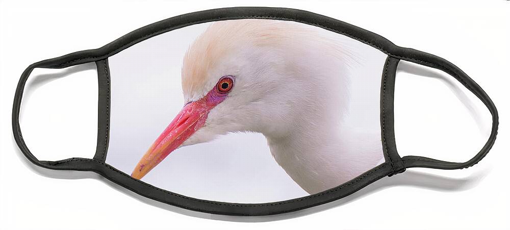Cattle Face Mask featuring the photograph Cattle Egret by Carolyn Hutchins